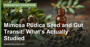Mimosa Pudica Seed and Gut Transit: What’s Actually Studied